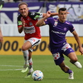 AUT, Austria Wien vs SV Ried, Bundesliga Grunddurchgang