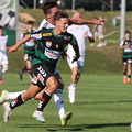AUT,SV Ried vs Dynamo Budweis, Testspiel