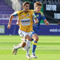 AUT, Wien, SV Stripfing vs SV Ried, 2.Liga, 2024/25