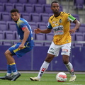 AUT, Wien, SV Stripfing vs SV Ried, 2.Liga, 2024/25