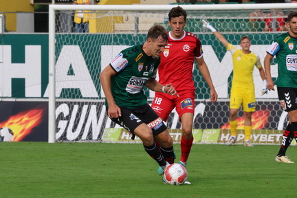 AUT, Ried, SV Ried vs SV Horn, 2.Liga