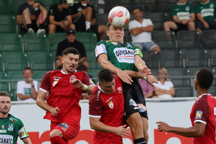 AUT, Ried, SV Ried vs SV Horn, 2.Liga