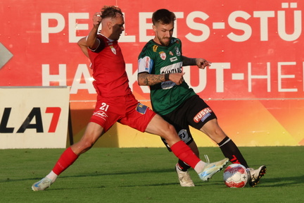 AUT, Ried, SV Ried vs SV Horn, 2.Liga