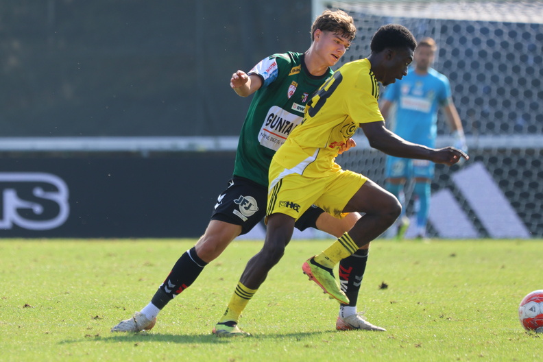 31.08.2024, AUT, Lafnitz, SV Lafnitz vs SV Ried, 2.Liga, 2024/25, Fotocredit Reinhard Schröckelsberger 2L-2425-R05-Lafnitz-SVR-30.jpg