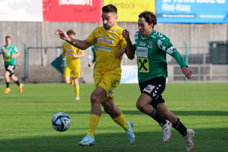 12.10.2024, AUT, Ried, Junge Wikinger vs UVB Vöcklamarkt, Regionalliga Mitte, Fotocredit Reinhard Schröckelsberger RLM-R08-JWR-Gleisdorf-15.jpg