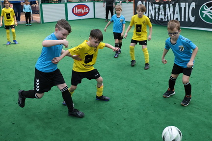 AUT, SV Ried, "Wikinger von Morgen" Cup U11