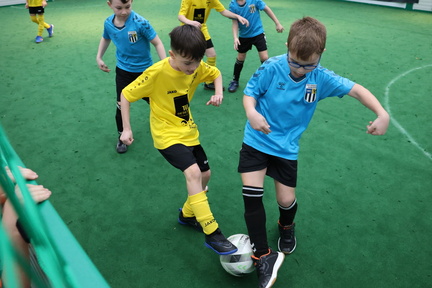 AUT, SV Ried, "Wikinger von Morgen" Cup U11