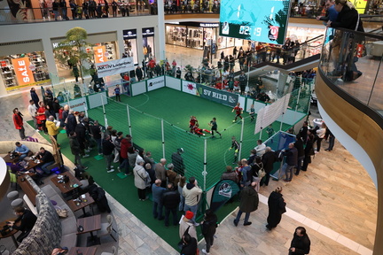 AUT, SV Ried, "Wikinger von Morgen" Cup U11