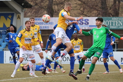 AUT, SV Horn vs SV Ried, 2.Liga, 2024/25