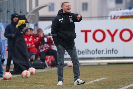 AUT, SV Horn vs SV Ried, 2.Liga, 2024/25