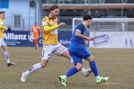AUT, SV Horn vs SV Ried, 2.Liga, 2024/25