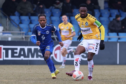AUT, SV Horn vs SV Ried, 2.Liga, 2024/25