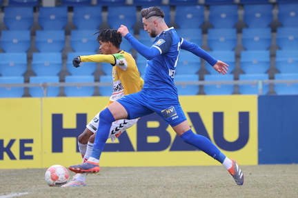 AUT, SV Horn vs SV Ried, 2.Liga, 2024/25