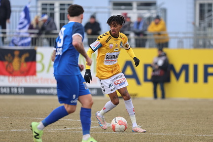 AUT, SV Horn vs SV Ried, 2.Liga, 2024/25
