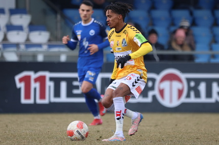 AUT, SV Horn vs SV Ried, 2.Liga, 2024/25