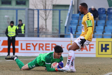 AUT, SV Horn vs SV Ried, 2.Liga, 2024/25