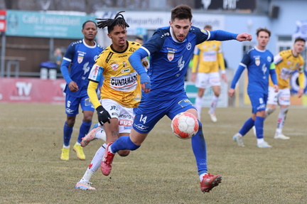 AUT, SV Horn vs SV Ried, 2.Liga, 2024/25