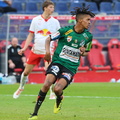 AUT, FC Liefering vs SV Ried, 2.Liga, 2024/25