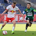 AUT, FC Liefering vs SV Ried, 2.Liga, 2024/25