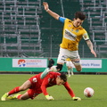 AUT, SK Rapid II vs SV Ried, 2.Liga, 2024/25