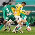 AUT, SK Rapid II vs SV Ried, 2.Liga, 2024/25