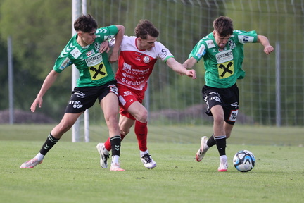 AUT, Ried, Junge Wikinger vs SK Vorwärts Steyr, Regionalliga Mitte