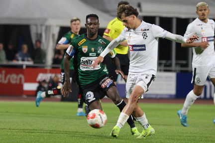 AUT, SW Bregenz vs SV Ried, 2.Liga, 2024/25