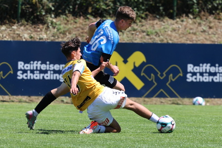AUT, SV Ried, Testspiel SV Ried vs Amstetten