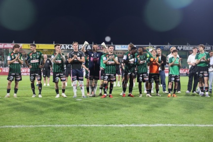 AUT, Ried, SV Ried vs SK Rapid, Admiral Bundesliga Europacup Pla